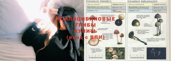 меф Белоозёрский