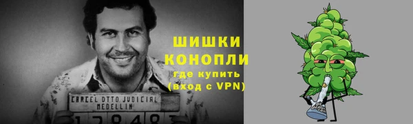 метадон Белокуриха