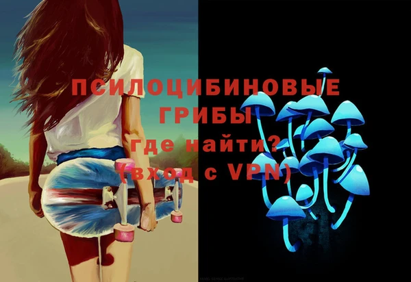 метадон Белокуриха